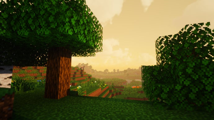 Duas árvores em uma paisagem no servidor Minecraft.