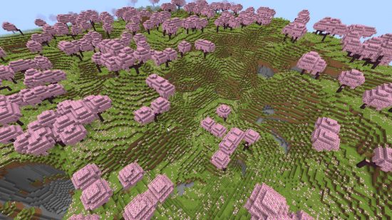 A melhor seed de Minecraft Trilhas e Contos: Um grande bioma de cerejeira cheio de árvores de sakura rosa.
