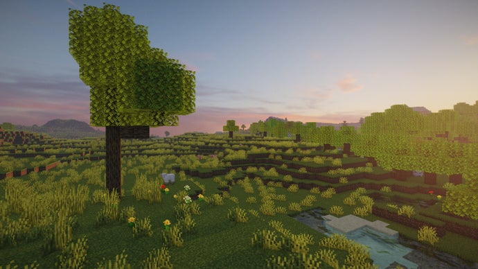 Uma única árvore em um bioma de planícies no servidor Minecraft.