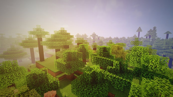 Uma captura de tela de uma floresta no servidor Minecraft, tirada acima das copas das árvores.